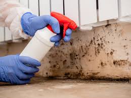  Carlisle, OH Mold Removal Pros